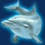 Dolphins Pearl
